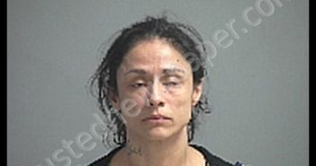 DIAZ MELISSA D | 2019-12-27 Sandusky County, Ohio Booking