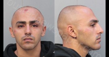 <B>ALVAREZ</B>, <B>DANIEL</B> #, Miami-Dade County, Florida - 2019-12-27 03:56:00