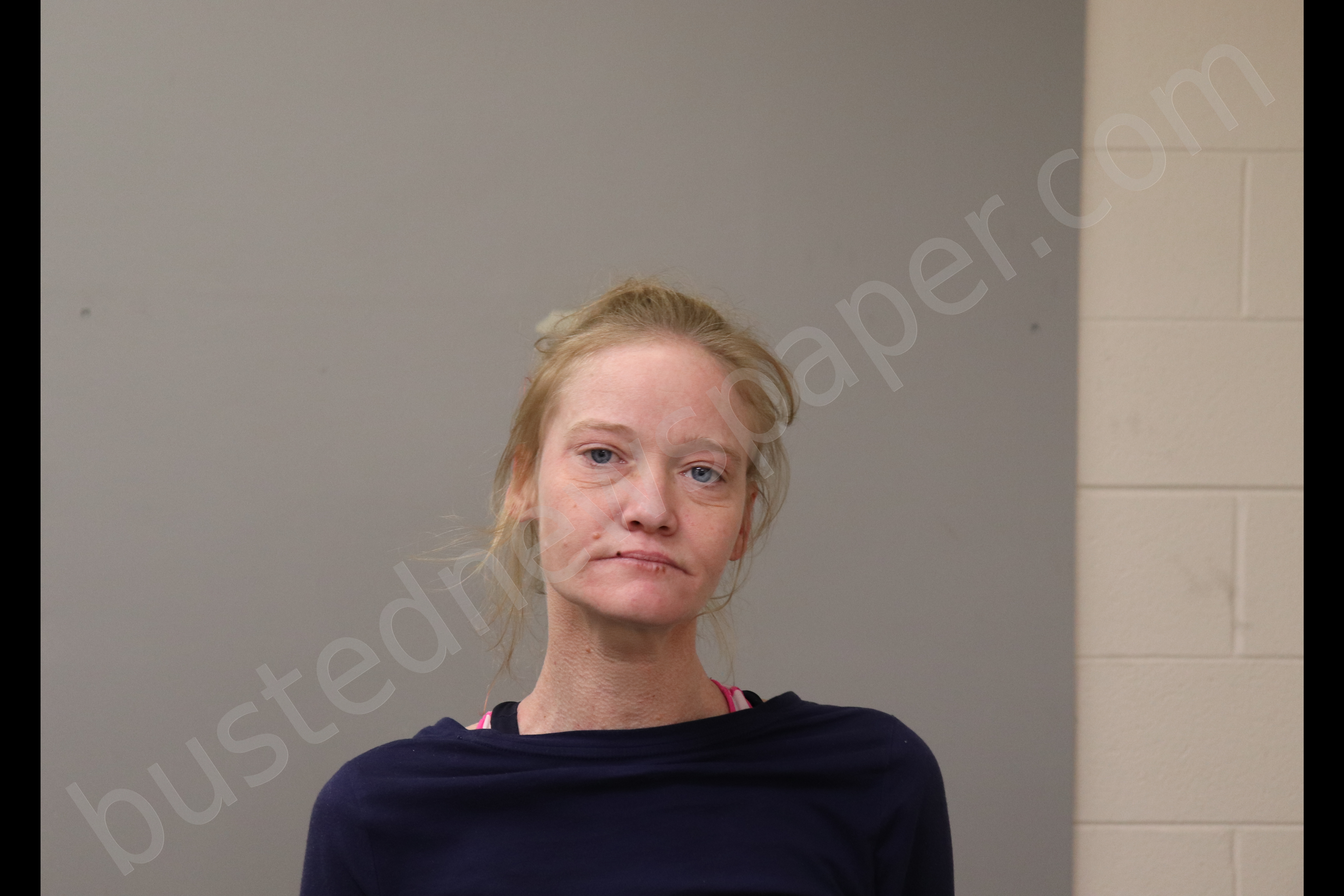 WILBOURN, KELLY ANDREA #, Madison County, Alabama - 2019-12-27 00:16:00
