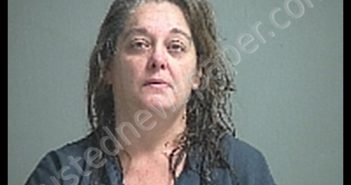 DICKEN KARLENEA LYNN | 2019-12-29 Sandusky County, Ohio Booking