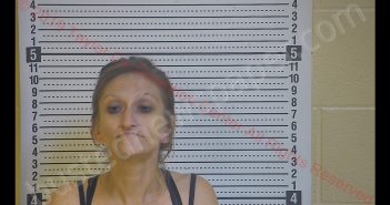 MAZIE B MIKEL | 2019-12-29 02:27:00 Taylor County, Kentucky Booking