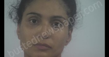 DOREEN MICHELLE COMI | 2019-12-30 20:28:00 Western Tidewater, Virginia Booking