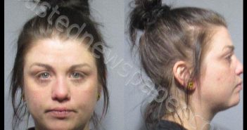 WISE, <B>ALEXANDRA</B> <B>LEE</B> #, Kendall County, Illinois - 2019-12-30 16:44:00