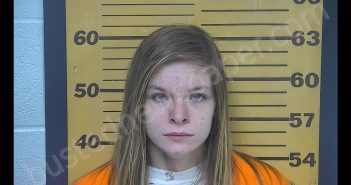 BRIANNA R GROCH | 2019-12-30 10:09:00 Ottawa County, Ohio Booking