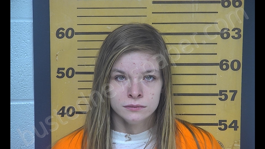 BRIANNA R GROCH #, Ottawa County, Ohio - 2019-12-30 10:09:00