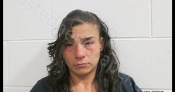 BRIANNA Y SILVA | 2019-12-31 22:52:00 Socorro County, New Mexico Booking