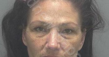 <B>IPPOLITO</B>, <B>JENNIFER</B> <B>LYNN</B> #, Lee County, Florida - 2019-12-31 15:15:00