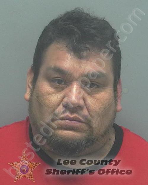 DIAZ-GARCIA, GUSTAVO #, Lee County, Florida - 2020-01-01 23:52:00