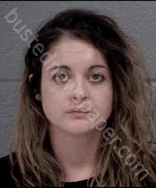 Sirkis, Brittney Ryan Mugshot | 2020-01-01 03:10:00 Mecklenburg County