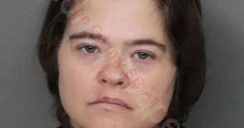 KATRINA ROGERS HENDRICKS | 2020-01-01 14:06:00 Anderson County, South Carolina Booking