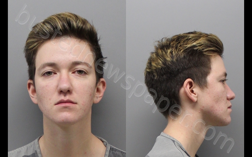 ROBERTS, BRITTANY MAE #, Wise County, Texas - 2020-01-01