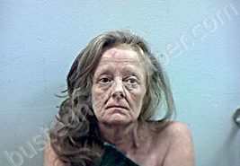 BATES, CHRISTINE D | 2020-01-02 Guernsey County, Ohio Booking