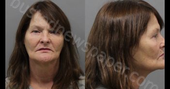 CHAPMAN, MARY ANN | 2020-01-03 Wise County, Texas Booking