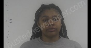 DIAMOND BOONE | 2020-01-04 04:00:00 Western Tidewater, Virginia Booking