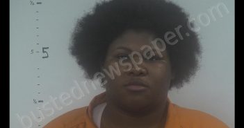 KEANNA DAETOYA DREW | 2020-01-04 00:30:00 Western Tidewater, Virginia Booking