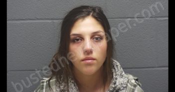 EMILY NOEL SHULTZ | 2020-01-04 02:05:00 Montgomery County, Indiana Booking