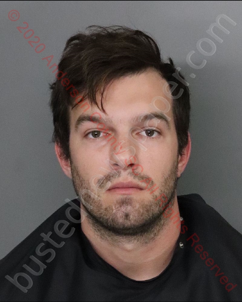MICHAEL RONALD PRESSLEY #, Anderson County, South Carolina - 2020-01-05 00:57:00