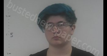 JESSICA NICOLE RAKES | 2020-01-05 14:25:00 Western Tidewater, Virginia Booking