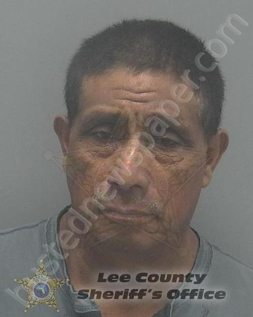 FRANCISCO-FELIPE, PASCUAL #, Lee County, Florida - 2020-01-05 05:08:00