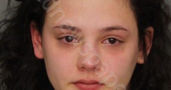 WALLACE, BRYANNA KAYE | 2020-01-05 19:53:00 Jefferson County, Alabama Booking