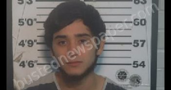 <B>RODRIGUEZ</B>, ALDOLFO <B>ANGEL</B> #, Monroe County, Tennessee - 2020-01-06 21:18:00