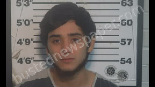 RODRIGUEZ, ALDOLFO ANGEL #, Monroe County, Tennessee - 2020-01-06 21:18:00