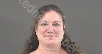 WALTERS, LAURA ALICE | 2020-01-08 10:22:00 Roanoke County, Virginia Booking