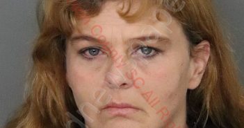 LISA MICHELLE BUSH | 2020-01-09 01:56:00 Anderson County, South Carolina Booking