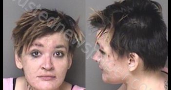 <B>HALE</B>, <B>ASHLEY</B> <B>MCKNIGHT</B> #, Gaston County, North Carolina - 2020-01-09 19:48:00