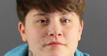 WHITE, SARAH A | 2020-01-10 Peoria County, Illinois Booking