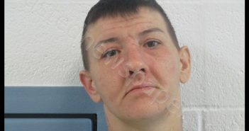 WILSON, CYNTHIA JANE | 2020-01-10 22:05:00 Preston County, West Virginia Booking