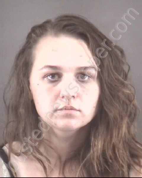 BOWMAN, LINDSAY JO #, Forsyth County, North Carolina - 2020-01-11 22:17:00
