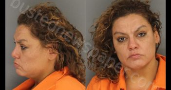 DAVILA, MARIA CECEILA | 2020-01-11 09:38:00 Sebastian County, Arkansas Booking