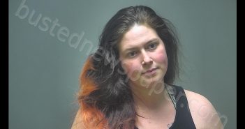 CHRISTY SHELDON | 2020-01-12 18:09:00 Isabella County, Michigan Booking