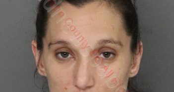 KAYLA RENEE CAMPBELL | 2020-01-12 13:11:00 Anderson County, South Carolina Booking