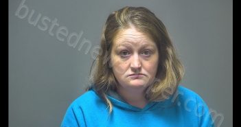 AMELIA ANN NELSON | 2020-01-13 14:44:00 Isabella County, Michigan Booking