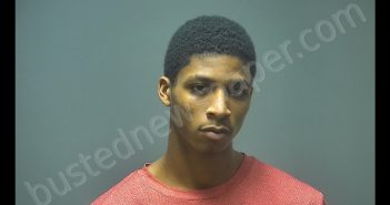 JOSHUA WALLACE LAWDINS | 2020-01-13 17:23:00 Isabella County, Michigan Booking