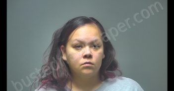 ALISHA LEE FRANCO | 2020-01-14 11:11:00 Isabella County, Michigan Booking