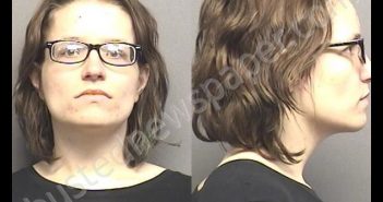 WHITLEY,DESIREE ELIZABETH | 2020-01-16 09:56:00 Saline County, Kansas Booking