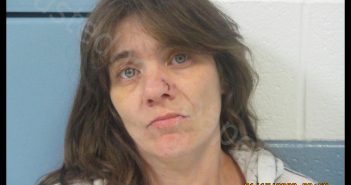 WARREN, ROBIN LYNN | 2020-01-16 23:35:00 Preston County, West Virginia Booking