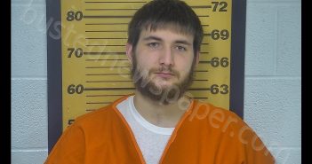 ANDRU A FOWLER | 2020-01-17 14:15:00 Ottawa County, Ohio Booking