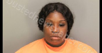 BRUNSON, BERNICQUEA JOSHAY | 2020-01-17 20:15:00 Florence County, South Carolina Booking