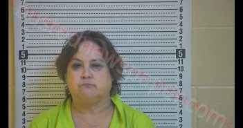 JAMIE MICHELLE SMITH | 2020-01-17 11:57:00 Taylor County, Kentucky Booking