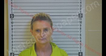 LISA M WALLS | 2020-01-18 19:52:00 Taylor County, Kentucky Booking