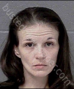 ADCOCK, CHRISTINA LYNN | 2020-01-19 15:20:00 Mecklenburg County, North Carolina Booking