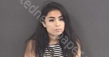 OCHOA VILLEGAS, CLAUDIA VANESSA | 2020-01-20 04:31:00 Roanoke County, Virginia Booking