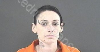 MULLINS, DELAINYA COUTS | 2020-01-20 01:52:00 Roanoke County, Virginia Booking