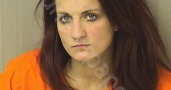 SEES, ANDREA LEE | 2020-01-20 22:40:00 Wood County, West Virginia Booking
