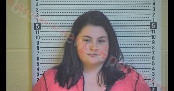 SHELBY LYNN PAGE | 2020-01-20 19:19:00 Taylor County, Kentucky Booking