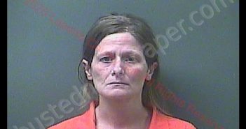 VENESSA A REEVES | 2020-01-21 11:28:00 Laporte County, Indiana, La Porte County, Indiana Booking